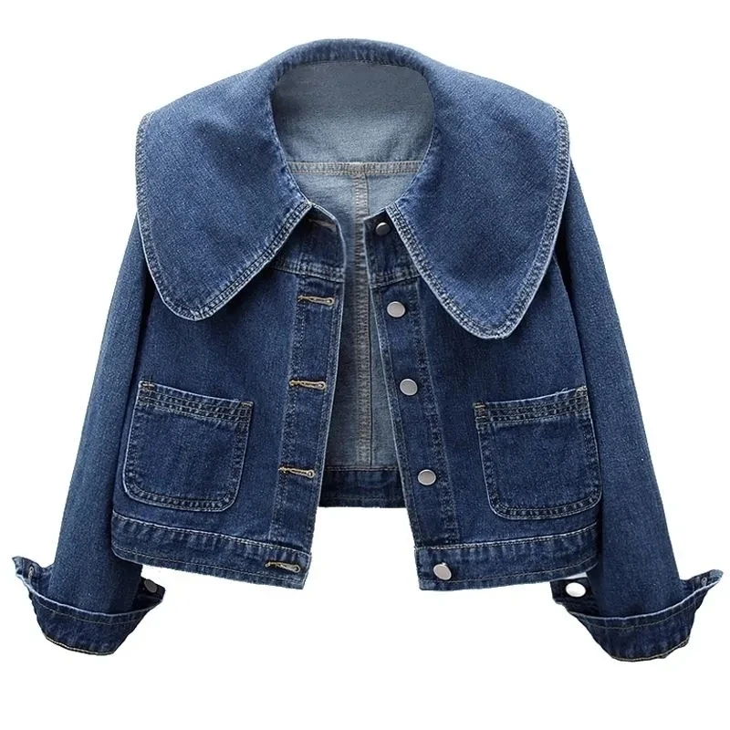 2024 New Autumn Women Denim Ja - đánh giá và giá Down Jacket Packable